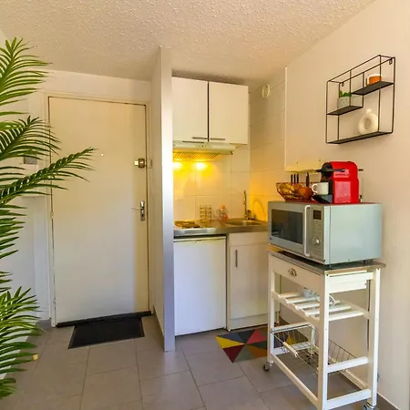 L'albigeoise - Confort - Tout Equipe - Parking Gratuit - 10 Min A Pied Du Centre-ville - Proche Gare - Universite - Vue Parc - Fibre Albi