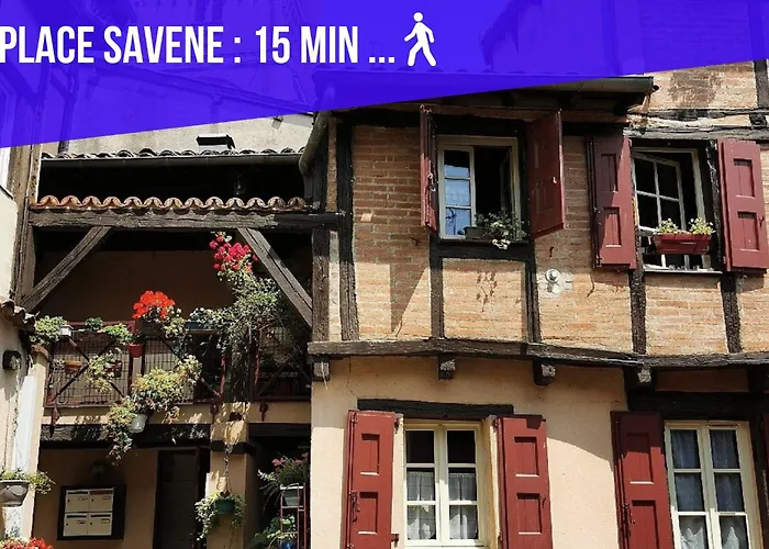 L'albigeoise - Confort - Tout Equipe - Parking Gratuit - 10 Min A Pied Du Centre-ville - Proche Gare - Universite - Vue Parc - Fibre